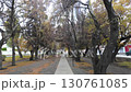 Winter cityscape with tree-lined streets and walking perspective video for tourism and lifestyle background 130761085
