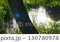 Serene and Beautiful Water Reflection in a Lush Green Landscape Full of Life and Color 130780978
