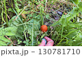 Hand reaching for a vibrant orange mushroom nestled among lush green grass and leaves, showcasing the beauty of nature 130781710