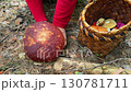 Close-up of a hand holding a large mushroom in a forest, with a woven basket filled with various mushrooms 130781711