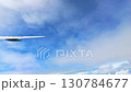 飛行機の窓からの眺め 130784677