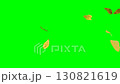 Big Autumn Leaves Loopable on Green Screen  130821619