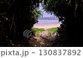 穿過一條小路，到達卡凱羅馬島的海邊 130837892