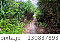 穿過一條小路，到達卡凱羅馬島的海邊 130837893