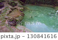 Lush Forest Creek. A serene scene of a small creek flowing through a vibrant, green forest, with dense foliage and sunlit water. 130841616