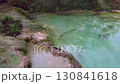 Lush Forest Creek. A serene scene of a small creek flowing through a vibrant, green forest, with dense foliage and sunlit water. 130841618
