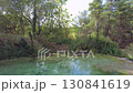 Lush Forest Creek. A serene scene of a small creek flowing through a vibrant, green forest, with dense foliage and sunlit water. 130841619