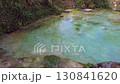 Lush Forest Creek. A serene scene of a small creek flowing through a vibrant, green forest, with dense foliage and sunlit water. 130841620