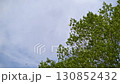 緑の木と雲のタイムラプス 130852432