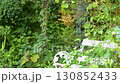庭園の白いベンチと緑の植物 130852433