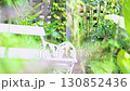 庭園の白いベンチと緑の植物 130852436