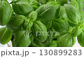 Basil in drops close-up rotation 130899283