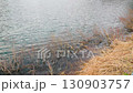 250428 Cherry blossoms in Nakano, Tsunan Town 130903757