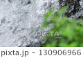 植物越しに流れる清流 5倍スローモーション 130906966
