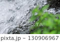 植物越しに流れる清流 等倍速 130906967