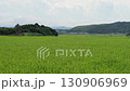 風にそよぐ青い稲が広がる夏の田園風景 等倍速 130906969
