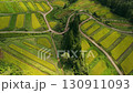 Beautiful autumn rice terraces with surprisingly small rice fields 130911093