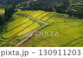 Golden rice terraces in autumn 130911203