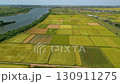 Golden rice fields and the Agano River flowing through Niigata City 130911275