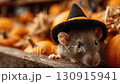 animal, rat, pumpkin 130915941