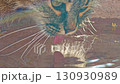 Cat drinking water from bowl 130930989