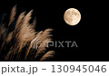 Full moon and silver grass moon viewing video 130945046