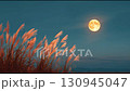 Full moon and silver grass moon viewing video 130945047