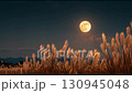 Full moon and silver grass moon viewing video 130945048