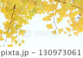 Brightly colored ginkgo leaves swaying in the wind [White background] [Fixed] 130973061