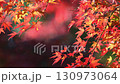 Fixed shot of autumn leaves swaying in the wind [Maple] [Momiji] 130973064