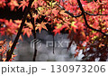 Fixed shot of colorful maple trees and sparkling water on the edge of a pond 130973206