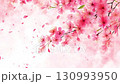 春の桜と舞い落ちる花びらの背景動画 130993950