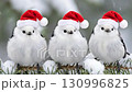 Three cute long-tailed tits wearing Santa hats 130996825