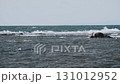 スーパースロー映像：夏の青い海と、打ち寄せる波を手持ち撮影 131012952