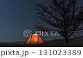 Timelapse of camp with orange illuminated tent near tree at night at moonset 131023389