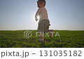 Toddler boy running across green field. Child enjoys summer freedom on grass. Kid barefoot steps on soft grass. Outdoor scene shows running child in summer. Toddler moves fast in open outdoor field. 131035182