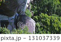 昇仙峡夏の風景 縦用 昇仙峡夏の風景 縦用 131037339