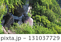 昇仙峡夏の風景 縦動画 昇仙峡夏の風景 縦動画 131037729
