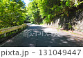 夏季森林道路駕駛視頻 131049447