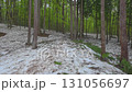 250429Tokamachi City Matsunoyama Bijinrin Forest 131056697