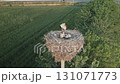 Stork family in nest above fields, parent feeding young, lush scenery 131071773