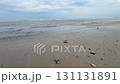 Tropical coastline beach sunny day 131131891