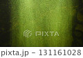 Green Underwater Bubbles and Algae in Natural Aquatic Environment with Serene Atmosphere 131161028