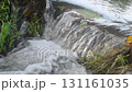 Stream Flowing Over Rocks and Plants in Serene Nature with Waterfall and Greenery 131161035