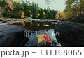 Leave in creek with beautiful Autumn foliage and stunning nature colors 131168065