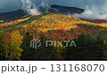 Beautiful Autumn foliage timelapsing with stunning nature colors from Adirondack upper New York State, USA 131168070