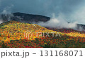 Beautiful Autumn foliage timelapsing with stunning nature colors from Adirondack upper New York State, USA 131168071