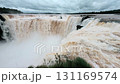 Powerful Iguazu Falls, one of the world's most impressive waterfalls. Argentina side. Brazilian wilderness landscape. 131169574