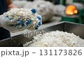 Close-up view of gloved hands holding shredded plastic flakes that are prepared for melting. These flakes will be transformed into new products in a recycling process. 131173826