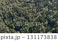 Aerial view of the beautiful, majestic coniferous forest in the Karkonosze Mountains, Poland 131173838